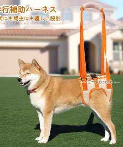 歩行サポート 軽量 老犬介護 後足用 犬 S〜XLサイズ 歩行補助 ハーネス 介護ハーネス 老犬 布製 シニア ュ * 介護用ハーネス