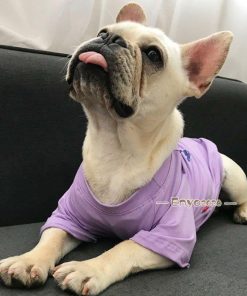 ペア犬用　半袖Tシャツ夏服　犬服親子 お出かけに ドッグウェア 小型犬用 ペット親子お揃い 犬の服 ドッグウェア ペットとお揃いTシャツ * 犬の服