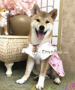 犬服 春 夏 ペットウェア ワンピース ペット用品 柴犬 中型犬 小型犬 ネコ ラウンドカラー スクエアカラー フレア 苺 総柄 ギャザー イチゴ * 犬の服