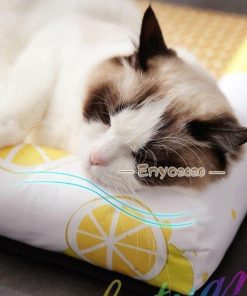 ペットベッド ひんやり ペット用クッション 夏用 涼しい席 い草シート 夏 夏用ベッド 犬 猫 ペット用クールソファ マット 洗える 暑さ対策 通気 * その他犬用品