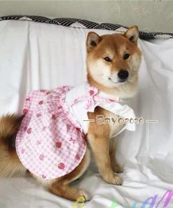 犬服 春 夏 ペットウェア ワンピース ペット用品 柴犬 中型犬 小型犬 ネコ ラウンドカラー スクエアカラー フレア 苺 総柄 ギャザー イチゴ * 犬の服