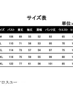 スウェットパーカー 冬 セットアップ セットアップ レディース 秋新作 レディース 秋 ジャージセットアップ　レディース 大きいサイズ ルームウェア * セットアップ